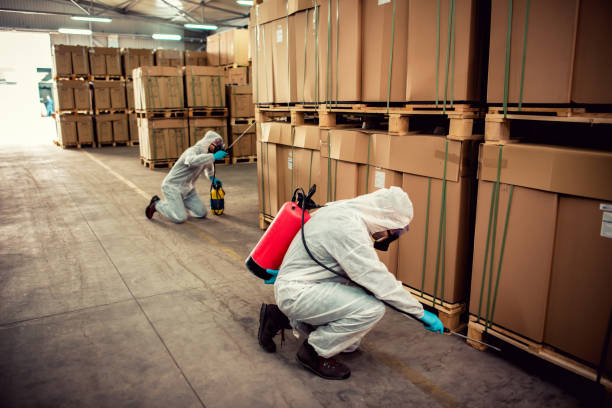 Best Wasp Removal Services  in Sandwich, IL