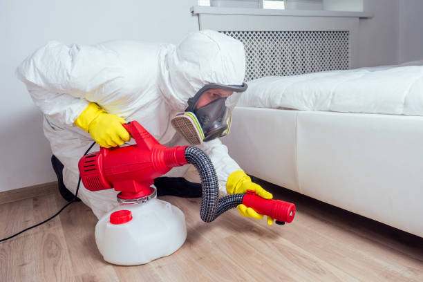 Best Pest Inspection Near Me  in Sandwich, IL