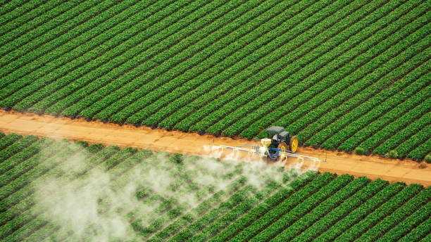 Best Insect Control  in Sandwich, IL